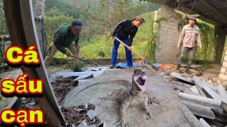 1 Người Miền Núi Khẳng Định Là Cá Sấu Vào Nhà Tấn Công Đến Khi Đội Thợ Săn Đến Thì Phát Hiện ….!