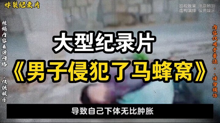 Documentary: “Man Provokes a Giant Hornet Nest, Resulting in Severe Swelling of the Genitals”