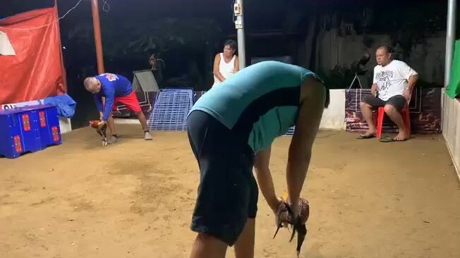 7 selection for 8 UGBOD STAG DERBY @ NAC BOGO NOV 8,2025