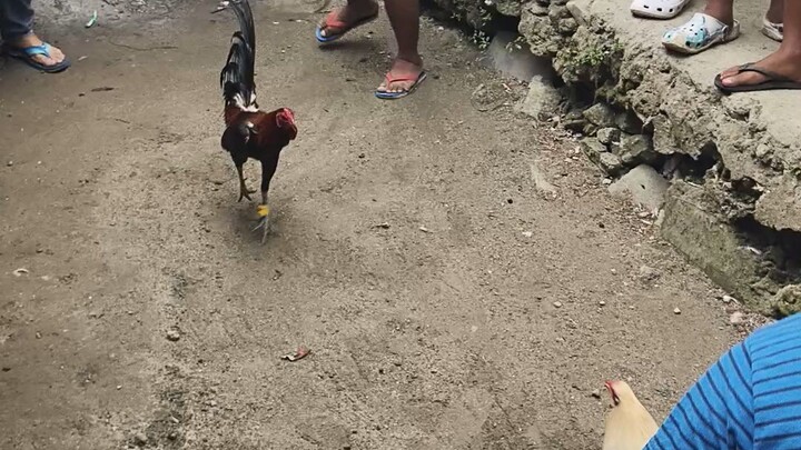 Dec 7 Talisayin vs Mayahin