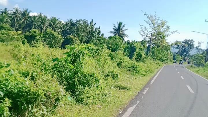 Jalan di Desaku