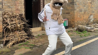 小步一迈 小头一晃 这不就嗨起来了吗