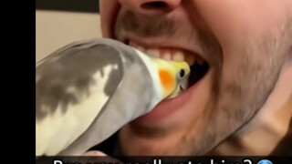 Man, I bet you don’t dare to eat it!