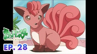 Pokémon the Series: The Beginning | EP. 28 | Vulpix dan Pertarungan Breeder! | Pokémon Indonesia
