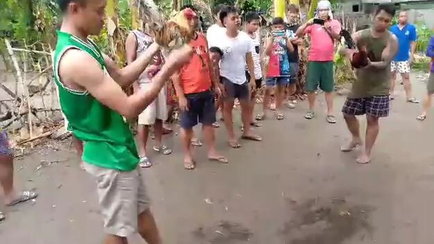 ang aking bulik talo man Patay din kalaban..