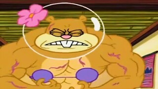 SpongeBob SquarePants bị bắt cóc và bạn gái Sandy hy sinh mạng sống của mình để cứu anh ấy