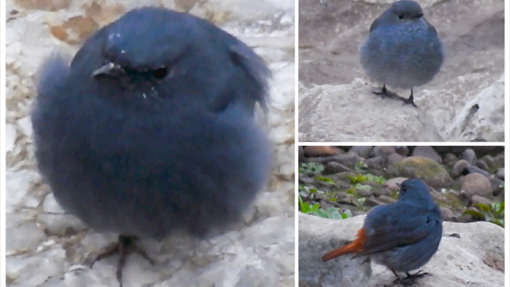 Kênh nước hoành tráng, rốt cuộc cậu đã cho tôi uống thứ thuốc gì vậy 😭👊🏻👊🏻