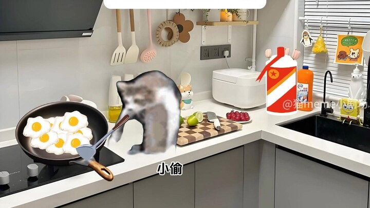 The Weirdest Thief in History