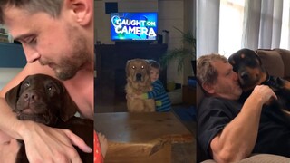 狗勾就是人间小天使！！