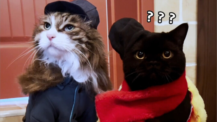 Is This What Marriage Is Supposed to Look Like? Young folks returning home who’re looking to meet so