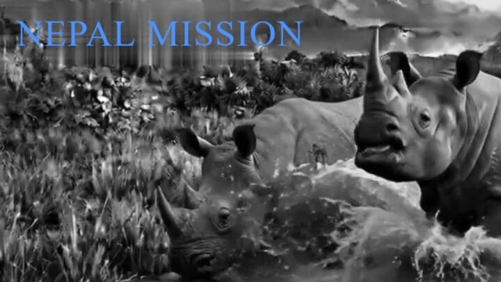 Nepal - One-Horned Rhino #shorts #shortvideo (2)