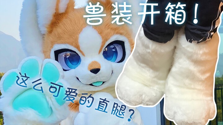 The way to save Big-Headed Son is… unbelievably cute! [Fursuit Unboxing]