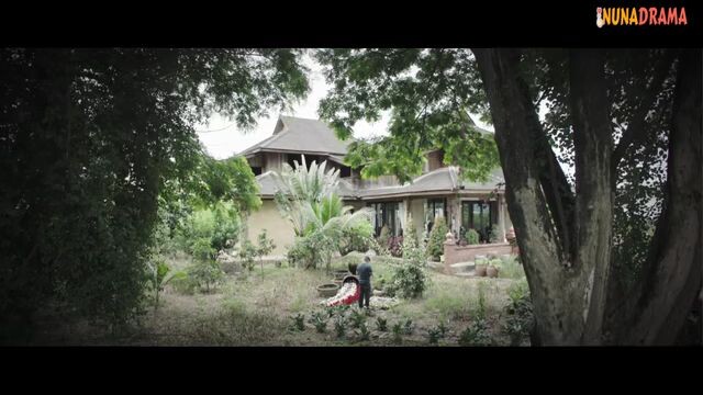 insect detective S2 eps 2