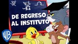 Tom y Jerry en Latino | De vuelta al colegio con tu dúo favorito | WB Kids