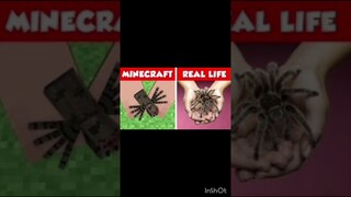 Minecraft VS Real life #shorts #viral #subscribe