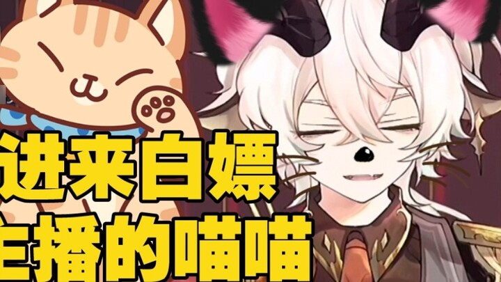 Siapa yang memelihara begitu banyak kucing di ruang siaran langsung! ! 【Rin-Agrias】