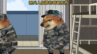 新兵入伍带的奇葩东西
