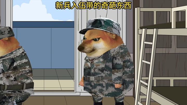 新兵入伍带的奇葩东西