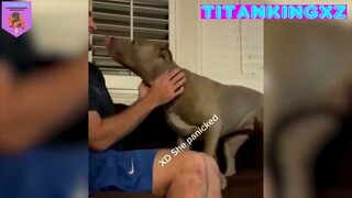 Lại đây với em đi #petlover