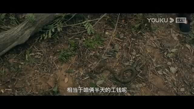 MULTISUB [King of Snake] 360P