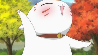Natsume and Nyanko-san's daily life: the happy life of the cat pig~