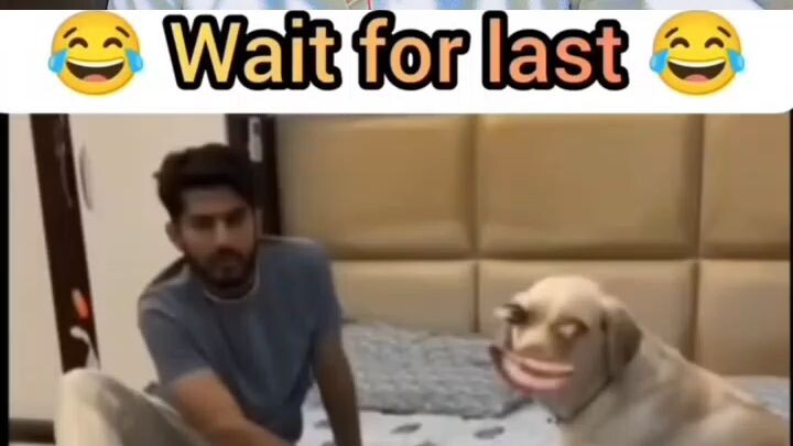 #comedy