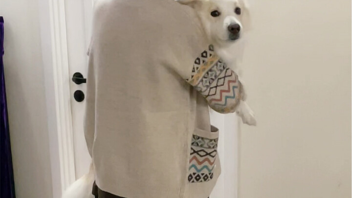 After waiting for 9 days, Mom finally came home!