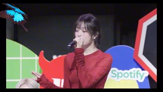 【ahyeon】Sao bạn có thể hát hay đến thế! ! SPOTIFY RADAR phát sóng trực tiếp bài hát "Really Like You