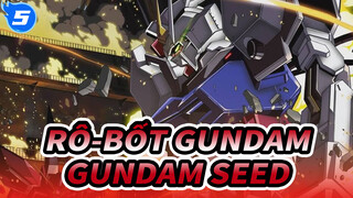 Rô-bốt Gundam|[2019 Lễ hội âm nhạc tại sân vận động Tokyo Dome] Phần vê Gundam SEED_5