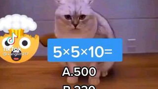 yg pinter jawab dong😆