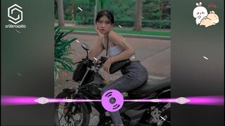 Nhạc Thái Lan Remix 🎶 Salting ( Mai Serak Remix ) || Nhạc Tik Tok Gây Nghiện Hay Nhất