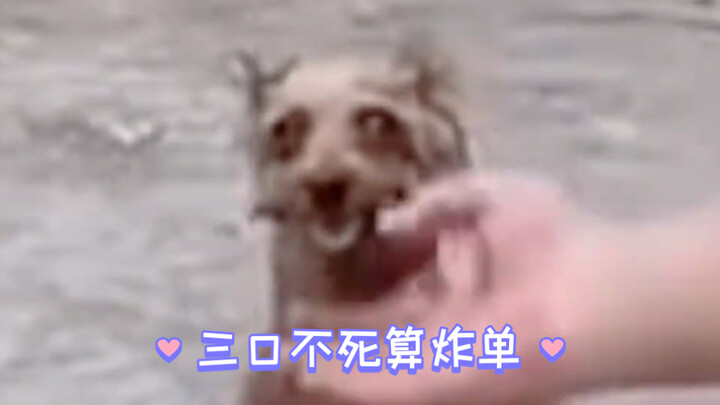 “Blurry visuals, crystal-clear skills!”