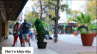 Thỏ biết đi 2#thobiettroll