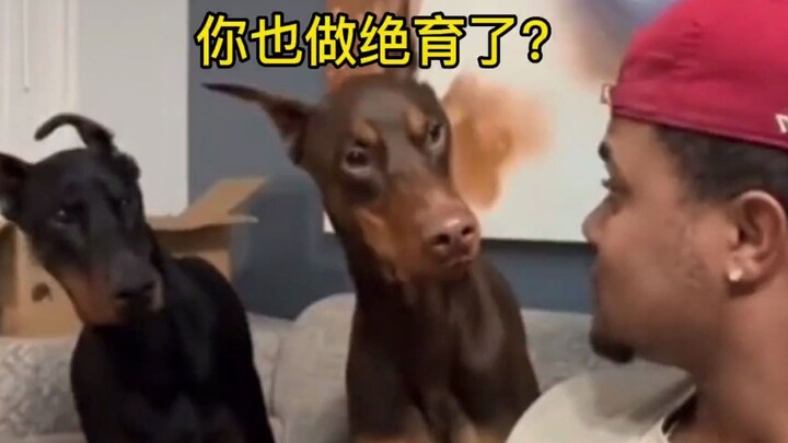 Dog: I was totally shocked at that moment.