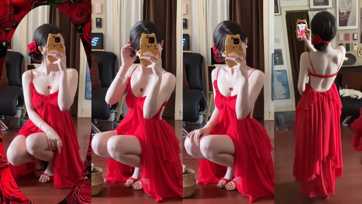 红色 姐的舒适区