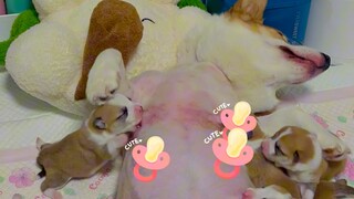 So delicious it'll make your toes curl!