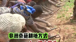 طريقة فريدة للزراعة في أفريقيا