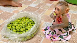 Very Cute Tiny Princes Maya Sit Eating Lotus & Some Orange