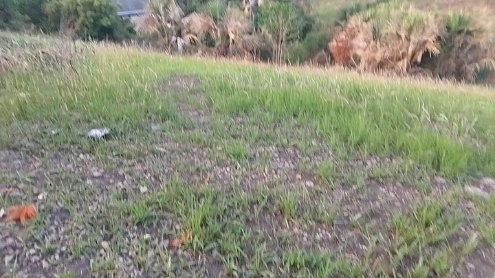 mountain View in sitio cadul brgy lawaan3 ⛰️⛰️⛰️⛰️❤❤❤❤