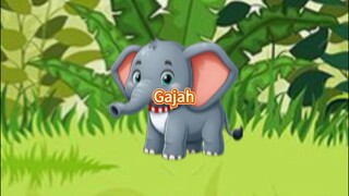 Gajah...