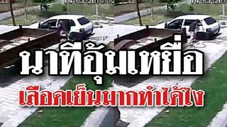 ปฏิบัติการแก็งอุ้มเหยื่อที่เลือดเย็นมาก ทำได้ไง @Awesome Videos