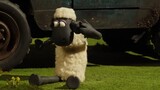 The Farmer's Llamas _ Shaun the Sheep _