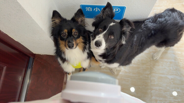 Hari ini adalah soal pilihan ganda