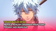 Tubuh Gintoki Tak Pernah Berdarah Sejak Perang Joui—Inikah Alasannya