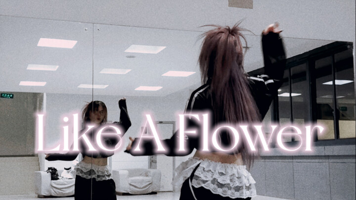 هروب مبكر من السكن الجامعي، الأخت سو فان ترقص منفردة على أغنية Like A Flower | طُردت بعبارة alright 