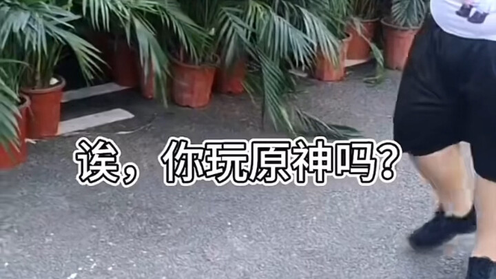 This is exactly how we Genshin Impact players are!