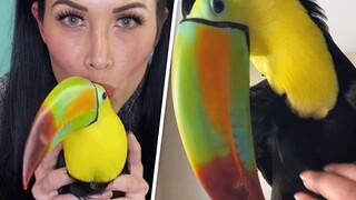 This woman's 'child' is a toucan