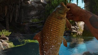 Fishing Bug in Far Cry 6