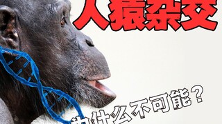 为什么人类比黑猩猩少了一对染色体？