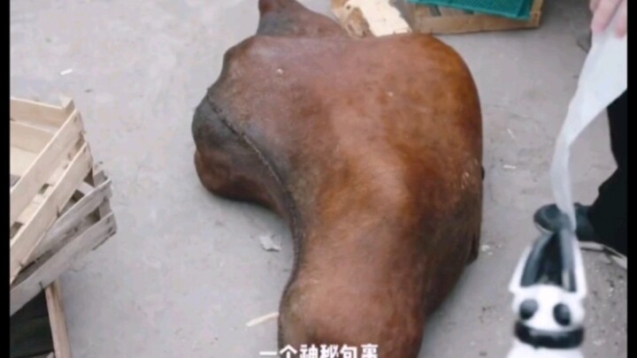 Want to know what’s inside the package? “Ancient City Death Sentence” will reveal the mystery for yo